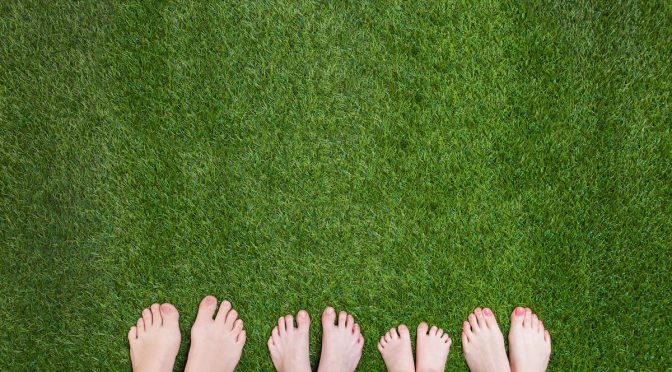 Best ways to start caring for your lawn