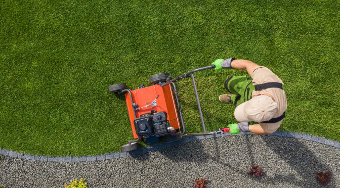 Aeration Simplified: The Step-by-Step Guide to a Healthier Lawn