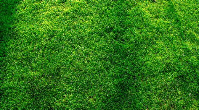 Unlock the Secrets of a Lush Green Lawn: Learn the Best Practices for Fertilizing Your Yard