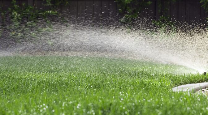 Water and Your Lawn: Best Practices for Watering Your Lawn, Ways to Water Your Lawn and A Couple Of Our Favorite Products
