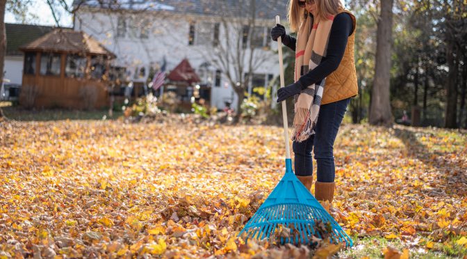 Rake Your Way to a Cleaner Yard: Simple Tips for Minimizing Fall Leaf Cleanup