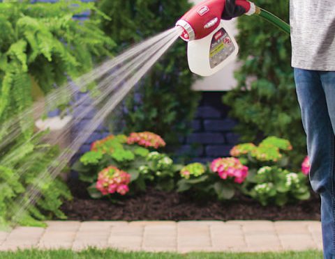 The Best Hose End Sprayers for Your Lawn (and More!) – A Buyer’s Guide